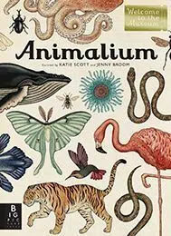 Libro Ilustración de Animales (Fauna) - Animalium