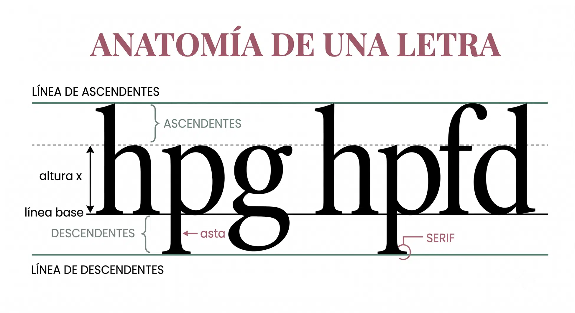Partes de una tipografía: Anatomía de una letra